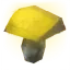 Желтый гриб