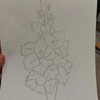 гладиолусы