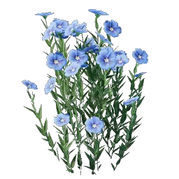 Проросток льна