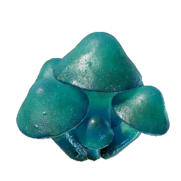 Проросток лазурной сыроежки